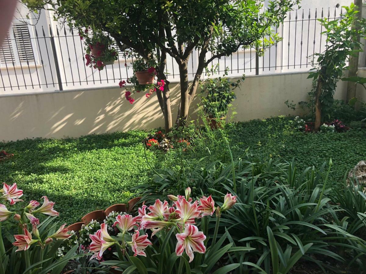 Apartman Lu Daire Mokošica Dış mekan fotoğraf